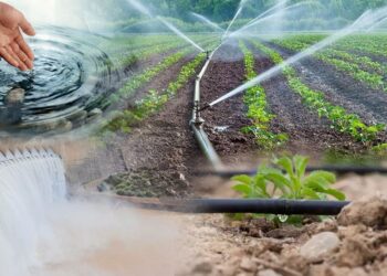 Су үнемдеу технологияларын енгізу 5 есе жеделдеді