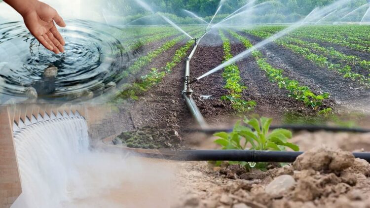 Су үнемдеу технологияларын енгізу 5 есе жеделдеді