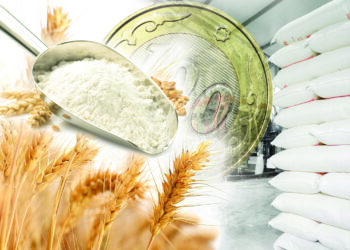 Үштөбедегі тоқтап тұрған ұн комбинаты қайта іске қосылады