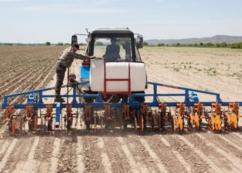 Көктемгі қызу еңбек