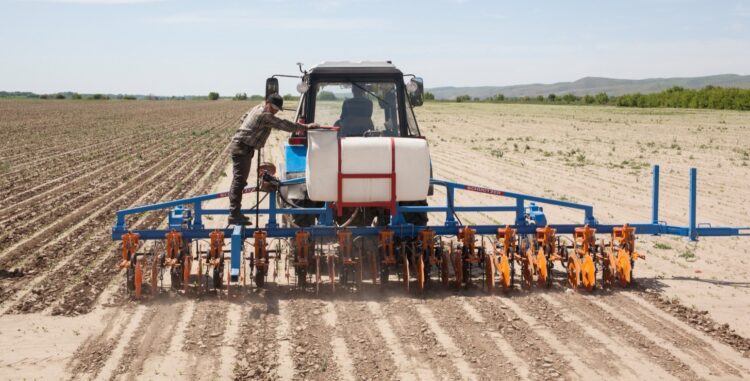 Көктемгі қызу еңбек