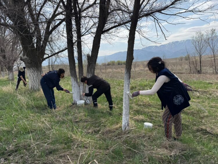 Сарқанда жалпы қалалық сенбілік өтті