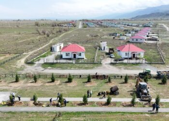 Ауыл азаматтары ағаш егуге демеушілік жасады