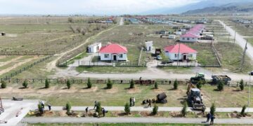 Ауыл азаматтары ағаш егуге демеушілік жасады