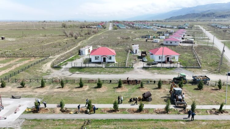 Ауыл азаматтары ағаш егуге демеушілік жасады