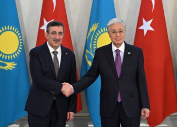 Мемлекет басшысы Түркия Республикасының Вице-президенті Джевдет Йылмазбен кездесті