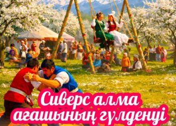 «Сиверс алма ағашаның гүлденуі» фестивалі өтеді