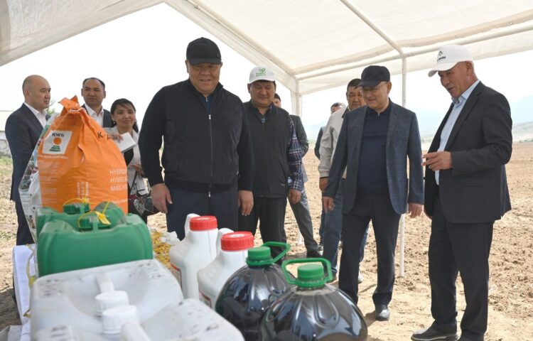 Жеті қазынаның бірі тазы мен төбет орталығы ашылады