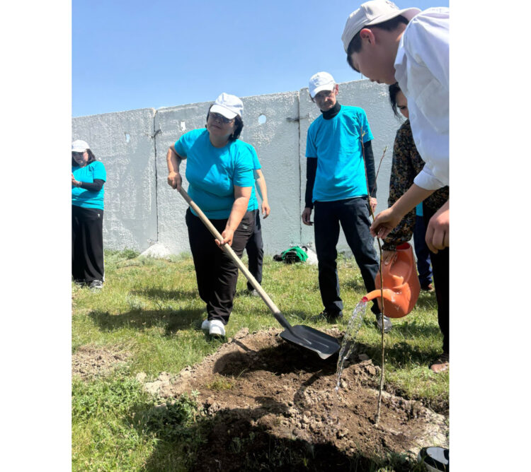 Қырық түп жеміс ағашы егілді