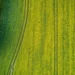 500 мың гектарға жуық ауыл шаруашылығы жері мемлекетке қайтарылды