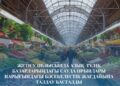 Жетісуда азық-түлік базарларындағы бәсекелестікке талдау жүргізіледі