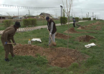 Кербұлақ ауданында экологиялық ахуал жақсаруда