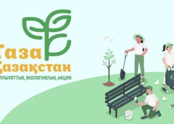 Талдықорғанда ағаштарды санитарлық мақсатта кесу жұмыстары жалғасуда