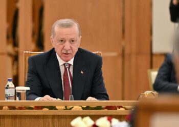 Қазақстан мен Түркия арасындағы экономикалық байланыс күшейеді