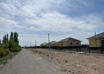 Келешегі кемел Басши
