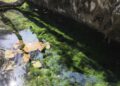 Жетісулықтар болашақ ұрпақтың экологиялық қауіпсіздігі үшін бұлақтарды тазартты