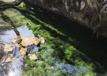Жетісулықтар болашақ ұрпақтың экологиялық қауіпсіздігі үшін бұлақтарды тазартты