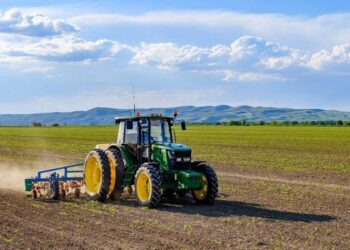 Диқандар 511 мыңнан астам гектар жерге өнім екті