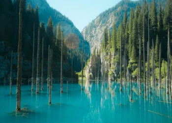 Қазақстан әлемдік туристік рейтингте 28 сатыға көтерілді