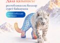 «Qyzyl Book Art». Дала қазынасы» республикалық сурет байқауына өтінім қабылдау басталды