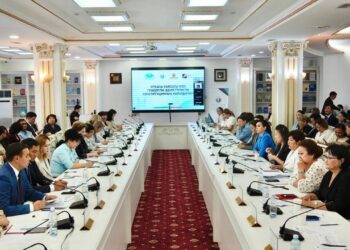 Жаңа Конституцияны іске асыру мәселесі талқыланды