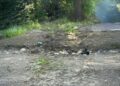 «Таза Қазақстан»: Талдықорғанда мобильді топ кезекті рейдке шықты