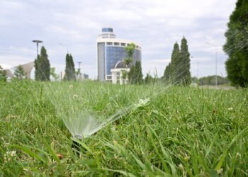 Суару толастамайды
