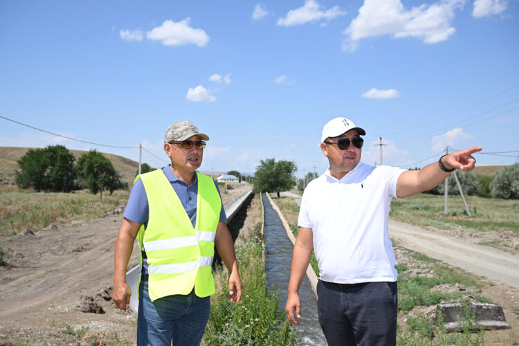 Суару жүйесіндегі серпіліс