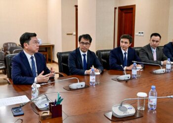 Мемлекеттік басқарудағы жасанды интеллект