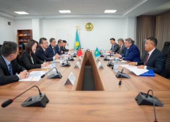 Елімізде Қытайдың қатысуымен жаңа жобалар жүзеге аспақ