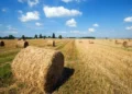 Қысқа 33 млн тонна жемшөп дайындады