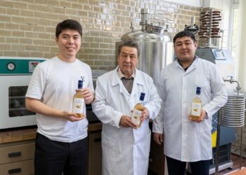 Отандық ғалымдар бал мен зімбірден жаңа сусын әзірледі