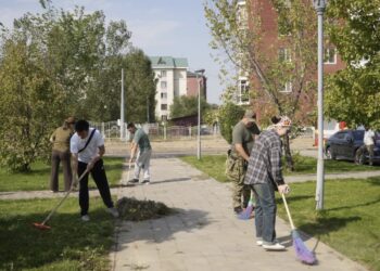 Черновик