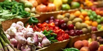 7,5 мың тоннадан астам ауыл шаруашылығы өнімі сатылымға шықты