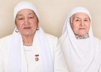 Тектіліктің қос шынары