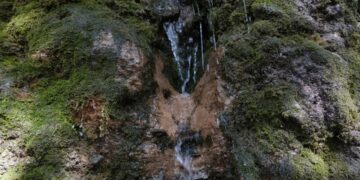 Жетісудың 7 қазынасы: Ақсу ауданында маңызды экологиялық шара өтті