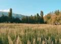 Жетісуда заңсыз берілген жерлер мемлекетке қайтарылды