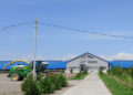 Желегі жасыл Жаркент
