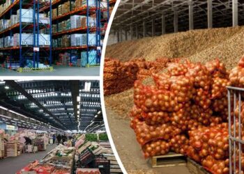 Азық-түлік шығару көлемі 3,2 трлн теңгеге жетті