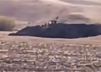 Жетісуда сақ қорғандарын ауыр техникамен қазған: Полиция тергеу бастады