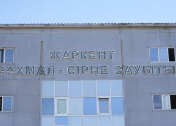 Жетісудың сары алтыны