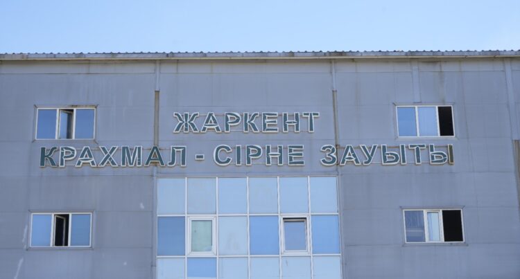 Жетісудың сары алтыны