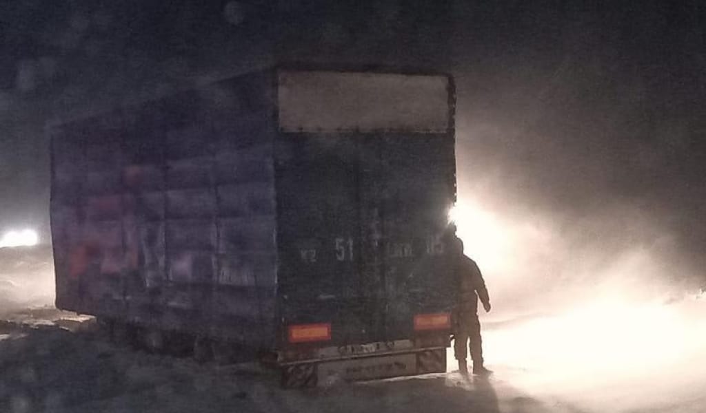 АЛАКӨЛ АУДАНЫНДА ҚАРЛЫ БОРАН СОҒЫП, 15 ЖҮК КӨЛІГІ ЖОЛДА ҚАЛДЫ