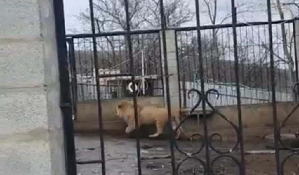 ТАЛҒАР АУДАНЫНДА АРЫСТАН АСЫРАП ОТЫРҒАН ҚОЖАЛЫҚ АНЫҚТАЛДЫ