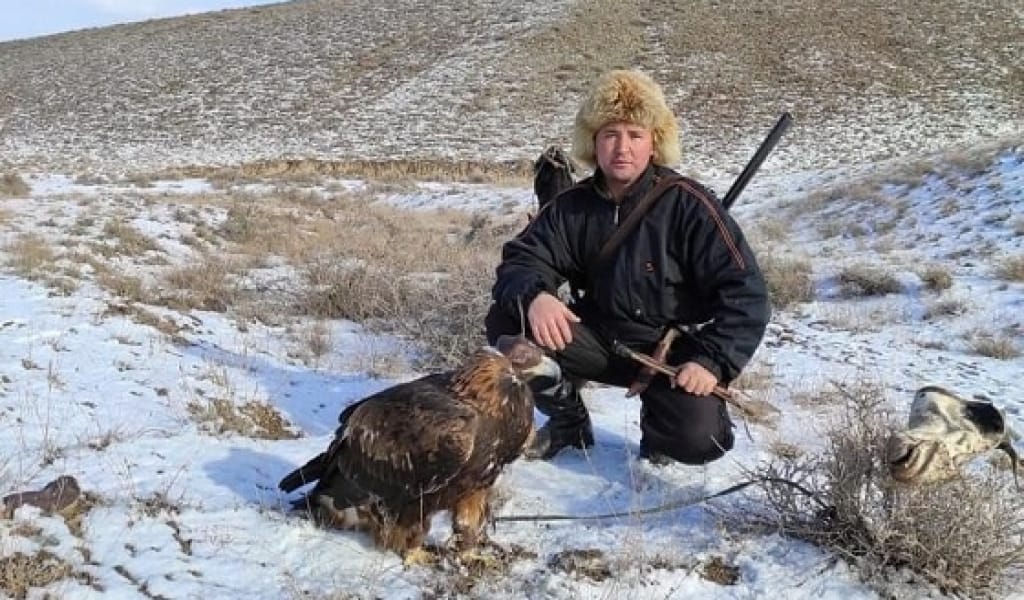 ЖЕТІСУЛЫҚ КӘСІБИ БҮРКІТШІ ЭТНОАУЫЛ АШУДЫ ЖОСПАРЛАП ОТЫР