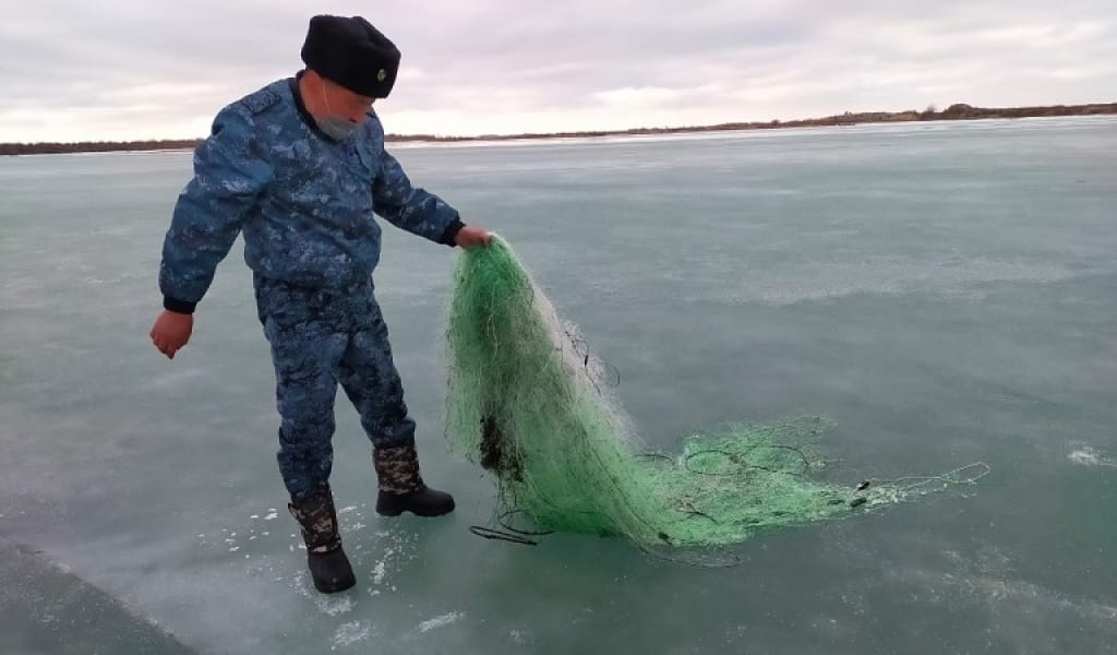 БАЛҚАШ АУДАНЫНЫҢ ПОЛИЦЕЙЛЕРІ СИНТЕТИКАЛЫҚ АУЛАРДЫ ӨРТЕДІ
