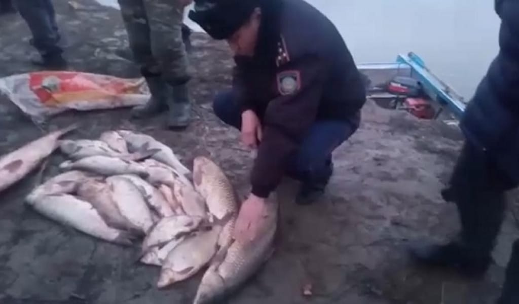 ҰЙҒЫР АУДАНЫНДА 66 КЕЛІ ЗАҢСЫЗ АУЛАНҒАН БАЛЫҚ ТӘРКІЛЕНДІ
