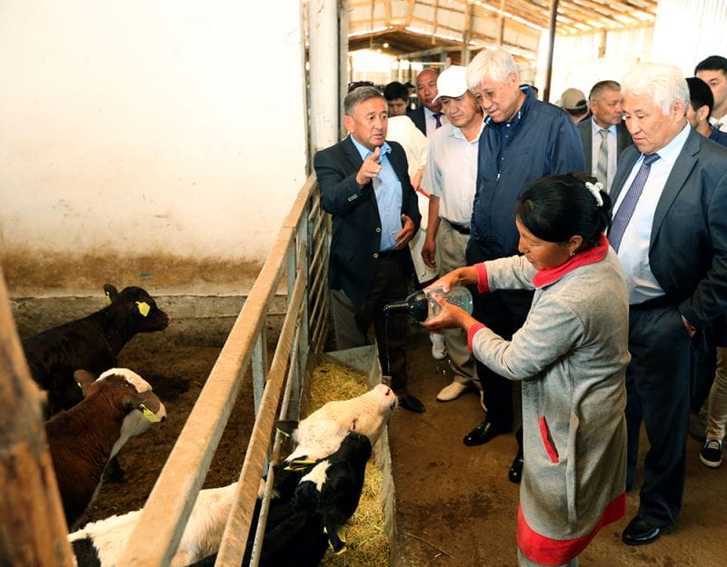 Жарқын істер жалғасы