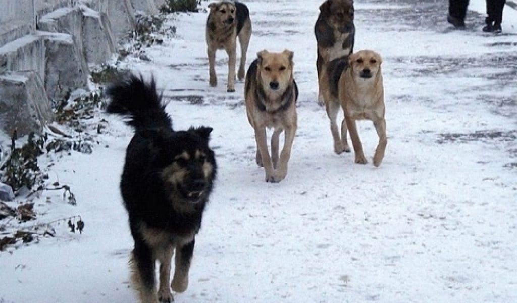 ИТІНЕ ИЕ БОЛМАЙТЫН АДАМДАРДЫ ЖАУАПҚА ТАРТАТЫН УАҚЫТ ЖЕТТІ