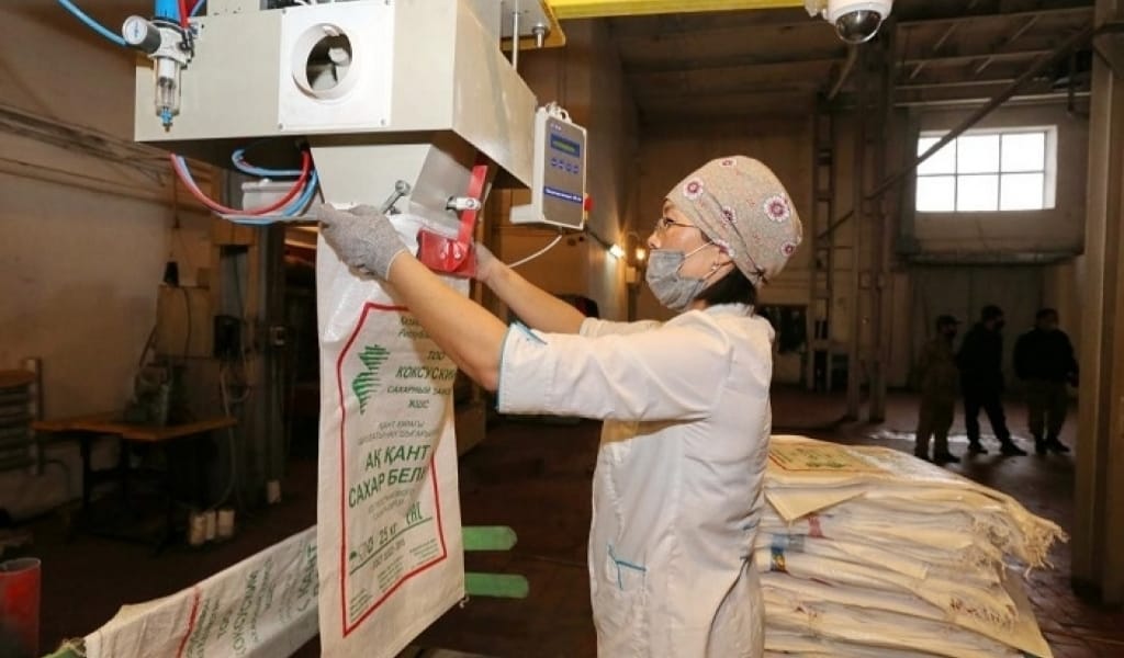 ЖАҢА ТЕХНОЛОГИЯ: КӨКСУ ЗАУЫТЫ ҚАМЫСТАН ҚАНТ ӨНДІРУ ІСІН ҚОЛҒА АЛДЫ